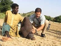 Mối Nguy Hiểm Của Bệnh Giun Chỉ Bạch Huyết