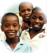 Triển vọng nghiên cứu và ứng dụng vaccine phòng bệnh sốt rét và sốt xuất huyết