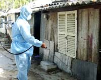 Kết quả giám sát dịch tễ sốt dengue/sốt xuất huyết dengue tại các tỉnh, thành phố tháng 3 năm 2009