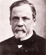 Louis Pasteur: Ông tổ của ngành Vi sinh vật học