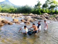 Hoạt động chính của Viện Sốt rét-KST-CT Quy Nhơn & các tỉnh khu vực miền Trung-Tây Nguyên trong tháng 5 và 5 tháng đầu năm 2009