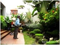 Tình hình sốt xuất huyết tại tỉnh Bình Định