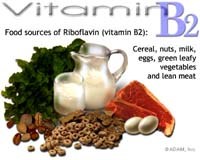 Vitamin B2 (Riboflavin) có tác dụng phòng tránh côn trùng xâm hại ?
