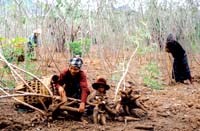 Những biến động sốt rét tại tỉnh Quảng Trị đầu năm 2009 qua kết quả giám sát dịch tễ sốt rét