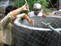 Kết quả giám sát dịch tễ sốt dengue/sốt xuất huyết dengue tại các tỉnh, thành phố tháng 4 năm 2009