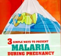 Một số mối nguy cơ về sốt rét trên thế giới