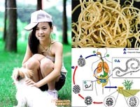 Bệnh ấu trùng giun đũa chó ở người - một vấn đề cần phải quan tâm hơn