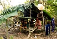 Ngành y tế tỉnh Kon Tum chỉ đạo tăng cường công tác phòng chống sốt rét năm 2009