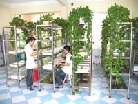 Các hoạt động chính của Viện Sốt rét-Ký sinh trùng-Côn trùng Quy Nhơn và các tỉnh khu vực miền Trung-Tây Nguyên tháng 7 năm 2009