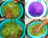 Một số phương pháp rửa rau nhằm “hạn chế” tối đa tác nhân ký sinh trùng gây bệnh