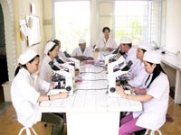 Một số hoạt động của Dự án Quỹ Toàn cầu Phòng chống Sốt rét Việt Nam tại tỉnh Thừa Thiên Huế năm 2009