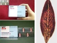 Cung cấp thuốc đặc trị  bệnh sán lá gan lớn cho các tỉnh thuộc khu vực miền Trung-Tây Nguyên và thanh toán bảo hiểm thuốc Egaten 250 mg