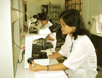 Các hoạt động chính của Viện Sốt rét-KST-CT Quy Nhơn và khu vực miền Trung-Tây Nguyên tháng 8 năm 2009