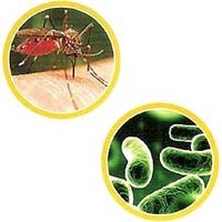 Triển vọng các phối hợp thuốc trong điều trị sốt rét và ngăn ngừa phát triển kháng thuốc