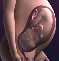 Sốt rét ở phụ nữ mang thai-Các tiếp cận mới và lồng ghép vào chương trình chăm sóc trước sinh