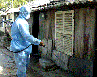 Kết quả giám sát dịch tễ sốt dengue/sốt xuất huyết dengue tại các tỉnh, thành phố tháng 8 năm 2009