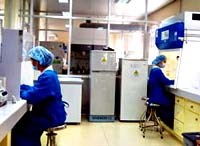 Điểm báo về các thông tin liên quan đến y tế ngày 4 & 5 tháng 10 năm 2009