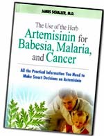 Sử dụng thảo dược Artemisinine trong điều trị  trùng bào tử Babesia, sốt rét và ung thư (The Use of the Herb Artemisinin for Babesia, Malaria, and Cancer)