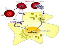 Tin tức cập nhật mới nhất về thông tin y học thế giới