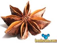 Điểm báo về các thông tin liên quan đến y tế ngày 6 tháng 10 năm 2009