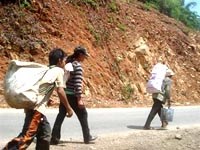 Nhận biết dấu hiện dự báo và xác định sốt rét ác tính để đề phòng tử vong