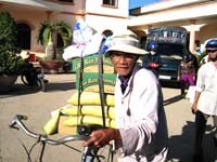 Viện Sốt rét-Ký sinh trùng-Côn trùng Quy Nhơn ủng hộ bão lụt cho đồng bào Khu vực 8-Phường Nhơn Phú-TP. Quy Nhơn