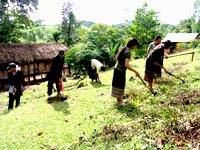 Tình hình dịch sốt xuất huyết 10 tháng năm 2009 và kế hoạch hoạt động của dự án phòng chống từ nay đến năm 2010