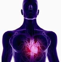 Suy tim-căn bệnh có tỷ lệ tử vong cao