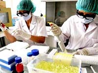 Các hoạt động chính của ngành y tế tháng 11 năm 2009