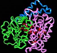 Tổng hợp y văn và cập nhật thông tin về sán lá gan lớn Fasciola spp. kháng thuốc Triclabendazole dưới góc độ sinh học phân tử
