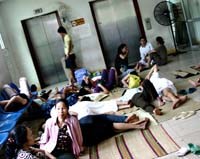 Các hoạt động chính của ngành y tế tháng 12 năm 2009