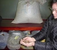 Điểm báo về các thông tin liên quan đến y tế ngày 23 & 24 tháng 12 năm 2009