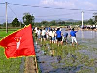 Học sinh Trường Viện Sốt rét-KST-CT Quy Nhơn nỗ lực học tập và lao động chào mừng 60 năm ngày truyền thống Học sinh-Sinh viên Việt Nam(1950-2010)