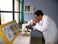 Hãy cảnh giác lọai ghẻ thường ký sinh ở chó lạc chủ sang người