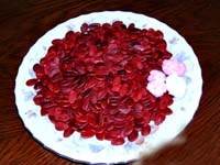 Điểm báo về các thông tin liên quan đến y tế ngày 17 & 18 tháng 01 năm 2010