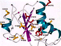 12 kỷ lục thế giới năm 2009 và 5 tiến bộ y học trong thập kỷ qua