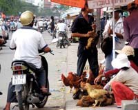 Điểm báo về các thông tin liên quan đến y tế ngày 1 tháng 2 năm 2010