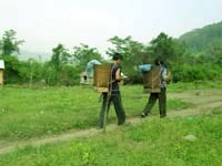 Cảnh báo tình hình sốt rét gia tăng và tăng cường công tác phòng chống bệnh sốt rét