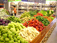 Điểm báo về các thông tin liên quan đến y tế ngày 3 tháng 2 năm 2010