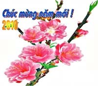 Tình hình dịch bệnh và công tác y tế trong dịp Tết Canh Dần 2010