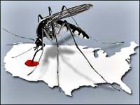 Hãy đề phòng bệnh sốt thung lũng Rift