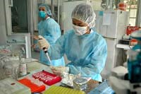 Tình hình dịch bệnh và các hoạt động của hệ y tế dự phòng trong tháng tháng 01 năm 2010