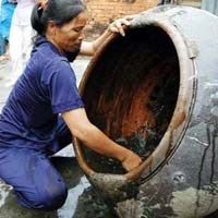 Bộ Y tế chỉ đạo các tỉnh, thành phố tăng cường công tác phòng chống sốt xuất huyết trong năm 2010