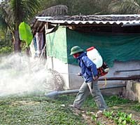 Phun thuốc diệt muỗi diện rộng có tác dụng như thế nào ?