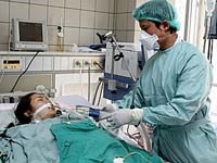 Thông tin cảnh báo dịch cúm A (H1N1 và H5N1) tái bùng phát ở Việt Nam