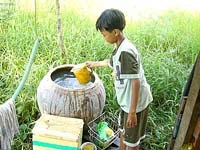 Kết quả giám sát dịch tễ sốt dengue/sốt xuất huyết dengue tại các tỉnh, thành phố tháng 1 năm 2010