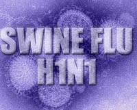 Xác định cấu trúc hemagglutinin trên virus cúm A/H1N1 2009 của Viện Nghiên cứu Scripps