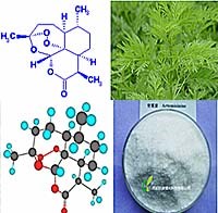 Các thông tin phòng chống sốt rét mới cập nhật trên thế giới