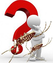 Sốt rét ác tính phải được điều trị ở tuyến nào ?