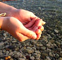 Điểm báo về các thông tin liển quan đến y tế ngày 5 tháng 5 năm 2010